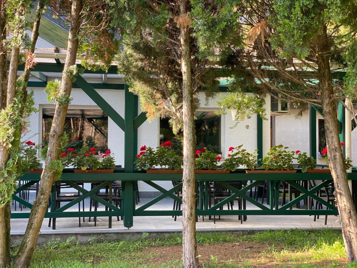Bed and Breakfast A Fogado Bicske Exteriér fotografie